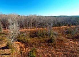 SOLD!!  10 Acres of Residential and Hunting Land For Sale in Moore County NC!