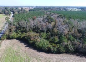 SOLD!! 23 Acres of Farm and Timber Land For Sale in Sampson County NC!