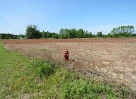 SOLD!!  91 Acres of Farm and Timber Land For Sale in Robeson County NC!