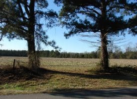 SOLD!! 40 Acre Farm for Sale in Brunswick County NC!