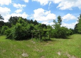 SOLD!!  8 Acres of Residential and Hunting Land For Sale in Brunswick County NC!