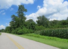 SOLD!! 23 Acres of Farm and Timber Land For Sale in Sampson County NC!