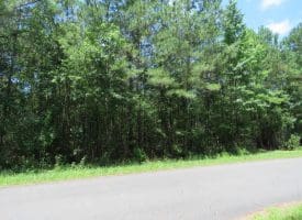 SOLD!!  28 Acres of Hunting Land For Sale in Pender County NC!