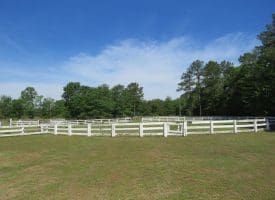 SOLD!! 10 Acres of Residential and Horse Property For Sale in Scotland County NC!