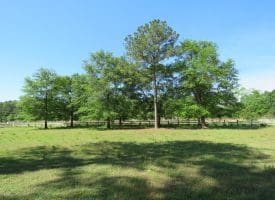 SOLD!! 10 Acres of Residential and Horse Property For Sale in Scotland County NC!