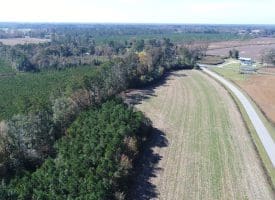 SOLD!! 23 Acres of Farm and Timber Land For Sale in Sampson County NC!