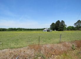 SOLD!!  113 Acres of Farm and Timber Land For Sale in Robeson County NC!