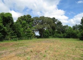 SOLD!!  8 Acres of Residential and Hunting Land For Sale in Brunswick County NC!