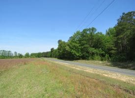 SOLD!!  91 Acres of Farm and Timber Land For Sale in Robeson County NC!