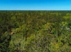 SOLD!!  9 Acres of Residential and Hunting Land in Pender County NC!