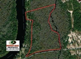 SOLD!!  21 Acres of Residential and Hunting Land in Pender County NC!