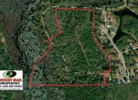 SOLD!!  25 Acres of Hunting Land For Sale in Scotland County NC!