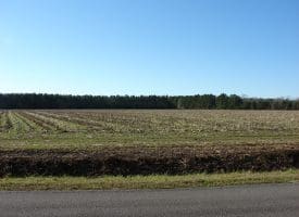 SOLD!! 40 Acre Farm for Sale in Brunswick County NC!