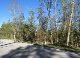SOLD!!  23 Acres of Hunting Land For Sale in Brunswick County NC!