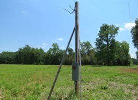 SOLD!! 26 Acres of Farm and Timber Land with Home Site For Sale in Bladen County NC!