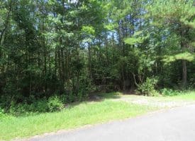 SOLD!!  28 Acres of Hunting Land For Sale in Pender County NC!