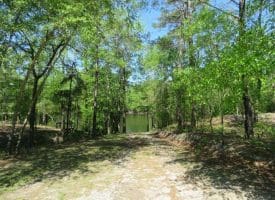 SOLD!!  9 Acres of Residential and Hunting Land in Pender County NC!