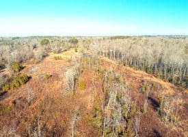 SOLD!!  10 Acres of Residential and Hunting Land For Sale in Moore County NC!