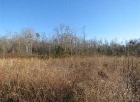 SOLD!!  10 Acres of Residential and Hunting Land For Sale in Moore County NC!