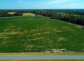 SOLD!!  15 Acres of Farm Land For Sale in Robeson County NC!