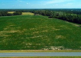 SOLD!!  15 Acres of Farm Land For Sale in Robeson County NC!