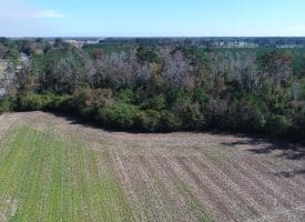 SOLD!! 23 Acres of Farm and Timber Land For Sale in Sampson County NC!