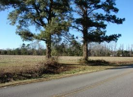 SOLD!! 40 Acre Farm for Sale in Brunswick County NC!