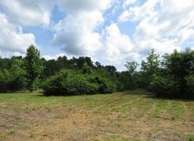 SOLD!!  8 Acres of Residential and Hunting Land For Sale in Brunswick County NC!