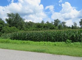 SOLD!! 23 Acres of Farm and Timber Land For Sale in Sampson County NC!