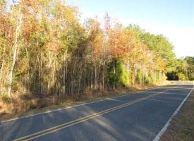 SOLD!!  7 Acres of Residential Land For Sale in Bladen County NC!