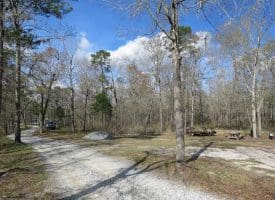 SOLD!!  21 Acres of Residential and Hunting Land in Pender County NC!