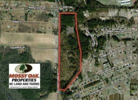 SOLD!!  44 Acres of Residential Land in Robeson County NC!