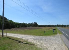 SOLD!!  91 Acres of Farm and Timber Land For Sale in Robeson County NC!