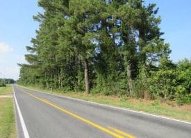 SOLD!!  89 Acres of Timber and Farm Land For Sale in Hoke County NC!