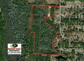 SOLD!!  35 Acres of Hunting Land with Home Site in Scotland County NC!