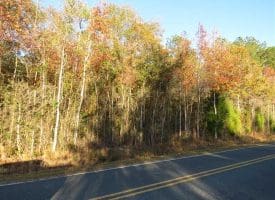 SOLD!!  7 Acres of Residential Land For Sale in Bladen County NC!