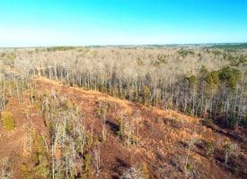 SOLD!!  10 Acres of Residential and Hunting Land For Sale in Moore County NC!