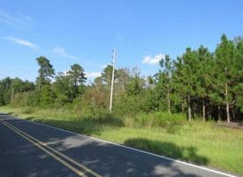 SOLD!!  26 Acres of Timber Land For Sale in Robeson County NC!