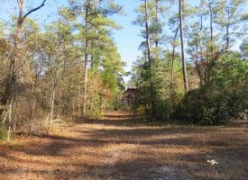 SOLD!! 131 Acres of Hunting and Timber Land For Sale in Robeson County NC!