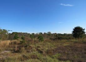 SOLD!!  46 Acres of Recreational Land For Sale in Robeson County NC!