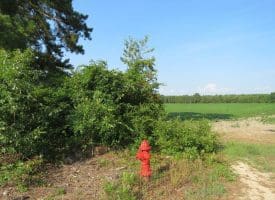 SOLD!!  89 Acres of Timber and Farm Land For Sale in Hoke County NC!