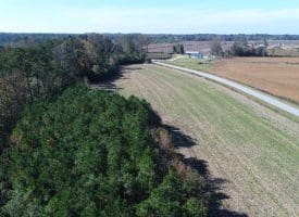 SOLD!! 23 Acres of Farm and Timber Land For Sale in Sampson County NC!