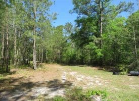 SOLD!!  9 Acres of Residential and Hunting Land in Pender County NC!