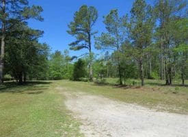 SOLD!!  9 Acres of Residential and Hunting Land in Pender County NC!