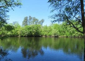 SOLD!!  9 Acres of Residential and Hunting Land in Pender County NC!