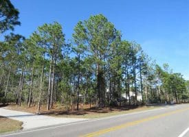 SOLD!! Residential Lot For Sale in Brunswick County NC!