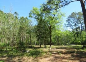 SOLD!!  9 Acres of Residential and Hunting Land in Pender County NC!