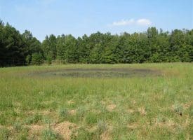 SOLD!!  174 Acres of Hunting Land For Sale in Dillon County SC!