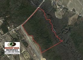 SOLD!!  70 Acres of Hunting Land For Sale in Robeson County NC!