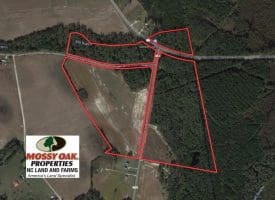 SOLD!!  91 Acres of Farm and Timber Land For Sale in Robeson County NC!